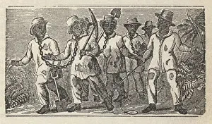 Narratives: Slaves often travel in ?coffles, ? chained ?