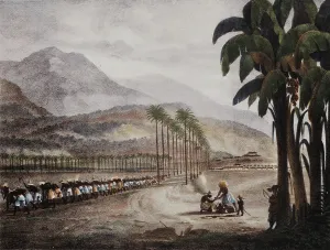 Daquitaine: Slaves working, Musee d'Aquitaine, Bordeaux, Aquitaine