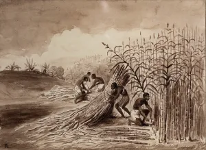 Daquitaine: Slaves working, Musee d'Aquitaine, Bordeaux, Aquitaine