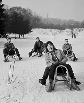 Seminary: Sled - fun - snow - downhill
