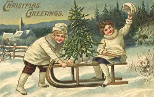 Bent: Sledding with Tree