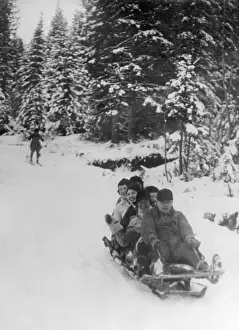Toboggans: SLEDGING!