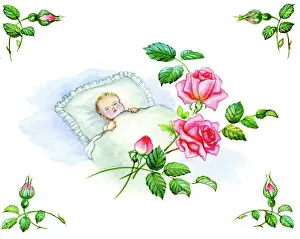 Lynes: Sleeping Baby with pink roses