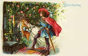 Awakens: Sleeping Beauty