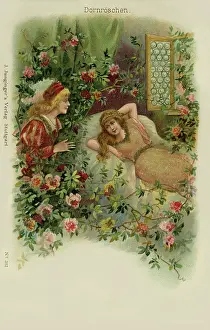 Awakens: The Sleeping Beauty