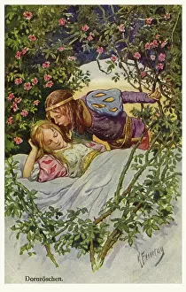 Awakens: The Sleeping Beauty