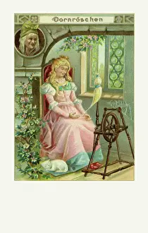 Dornroschen: Sleeping Beauty
