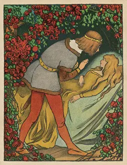 Curses: Sleeping Beauty