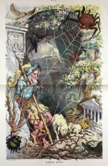 Cobwebs: Sleeping beauty