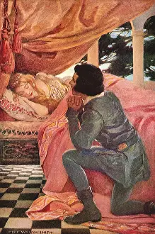 Awaken: The Sleeping Beauty