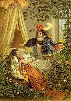Bedchamber: Sleeping Beauty