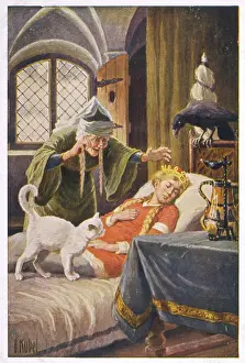 Immune: SLEEPING BEAUTY - 6