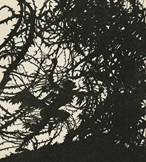Thicket: Sleeping Beauty by Arthur Rackham