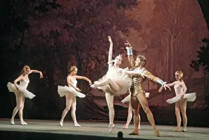Desire: Sleeping Beauty ballet, 1973