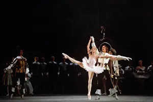 Bois: Sleeping Beauty ballet, 1973