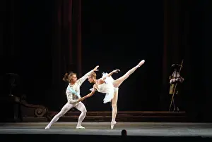 Bois: Sleeping Beauty ballet, 1973