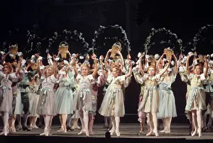 Bois: Sleeping Beauty ballet, 1973