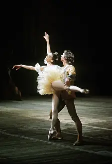 Desire: The Sleeping Beauty ballet, 1978