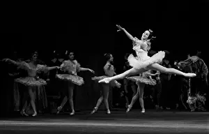 Natalia: The Sleeping Beauty ballet, 1981