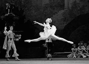 Aurora: Sleeping Beauty Ballet