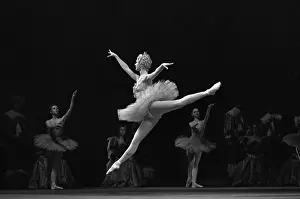 Lilac: Sleeping Beauty ballet