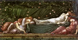 Spell: Sleeping Beauty, by Burne-Jones