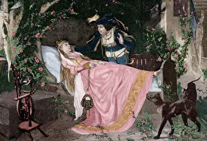 Grimm: The Sleeping Beauty. Engraving. Colored
