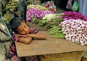 Winks: Sleeping boy, Bangkok market
