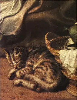 Curled: Sleeping Cat, by Rubens