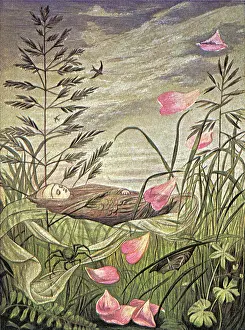Vere: Sleeping Fairy