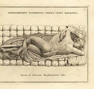 Hermaphroditus: Sleeping Hermaphroditus, or the Borghese Hermaphroditus