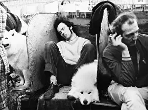 Amusing: Sleeping at the Manchester Dog Show circa 1970
