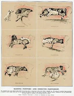 Wolfhound: Sleeping Partners and Dissolved Partnership, Cecil Aldin
