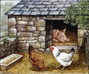 Pigsty: Sleeping pig with hens