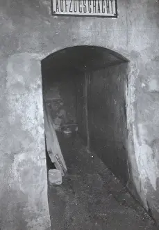 Drawe: Sleeping place in an elevator shaft