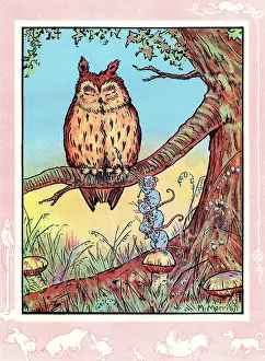 Dozing: Sleepy owl tickled by mice