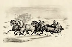 Sleds: The Sleigh Race
