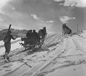 Trudge: SLEIGH RIDES