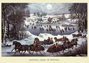 Sledding: Sleigh Riding in Central Park