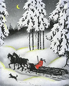 Recreational: Sleigh Through the Snow