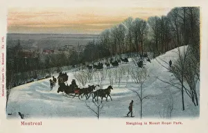 Sleighing: Sleighing at Montreal