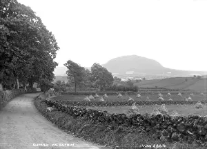 Stooks: Slemish, Co. Antrim