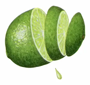 Revealing: Slice and Juicy Lime
