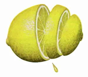 Revealing: Sliced and Juicy Lemon