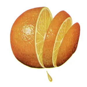Revealing: Sliced and Juicy Orange