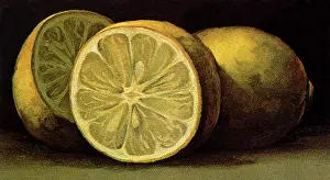 Sliced: Sliced Lemons