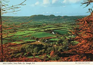 Slieve: Slieve Gullion, Forest Parks, County Armagh, Ireland