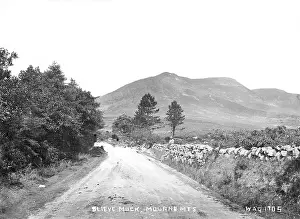 Muck: Slieve Muck, Mourne Mts