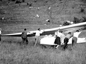 Glider: Slingsby T.21