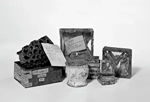 Sloane: Sloane's specimens